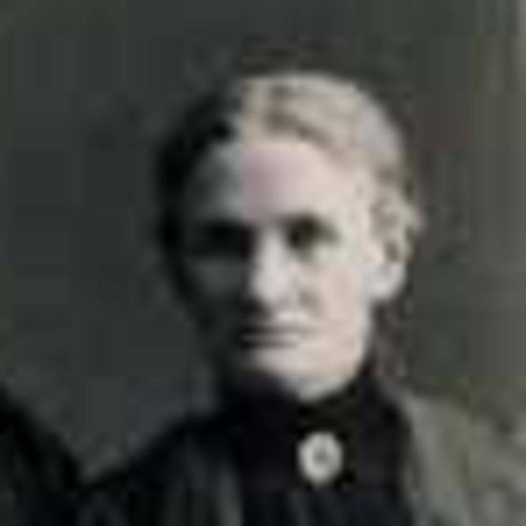 Elizabeth Hatch Shurtliff (1843 - 1916) Profile